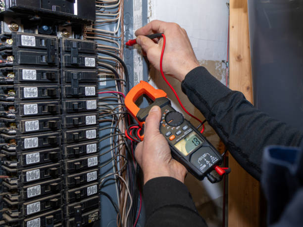 Best Home Electrical Repair  in Osage, IA