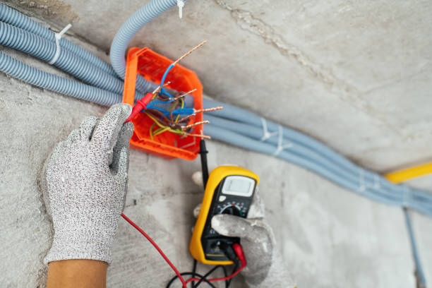 Best Ceiling Fan Installation Electrician  in Osage, IA